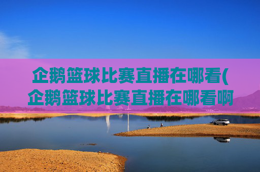 企鹅篮球比赛直播在哪看(企鹅篮球比赛直播在哪看啊)