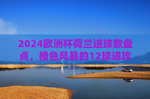 2024欧洲杯荷兰进球数盘点，橙色风暴的12球进攻与八强落幕，2024欧洲杯荷兰12球进攻盘点，橙色风暴八强落幕