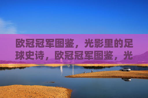 欧冠冠军图鉴,光影里的足球史诗,欧冠冠军图鉴,光影中的足球史诗