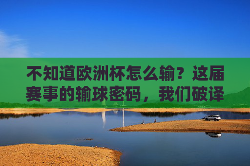 不知道欧洲杯怎么输?这届赛事的输球密码,我们破译不了,欧洲杯输球密码,这届的谜,我们破译不了