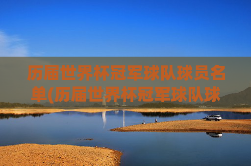 历届世界杯冠军球队球员名单(历届世界杯冠军球队球员名单表)