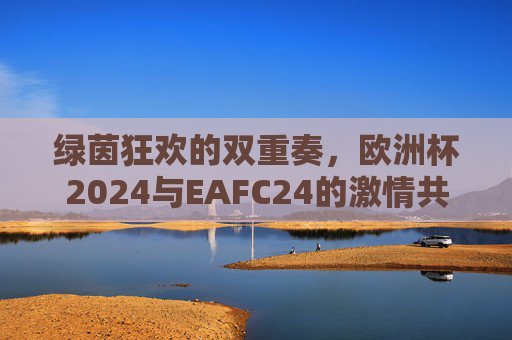 绿茵狂欢的双重奏,欧洲杯2024与EAFC24的激情共振,欧洲杯2024与EAFC24,绿茵狂欢的双重奏