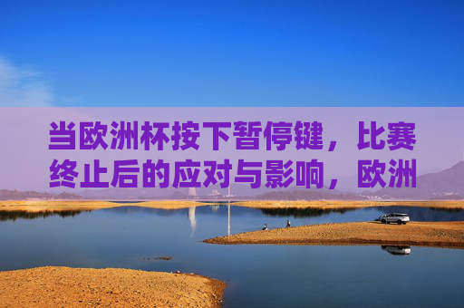 当欧洲杯按下暂停键,比赛终止后的应对与影响,欧洲杯按下暂停键,应对与影响