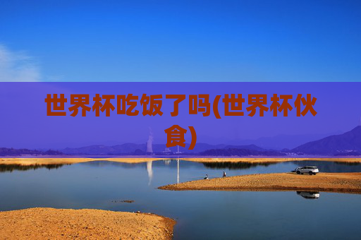世界杯吃饭了吗(世界杯伙食)