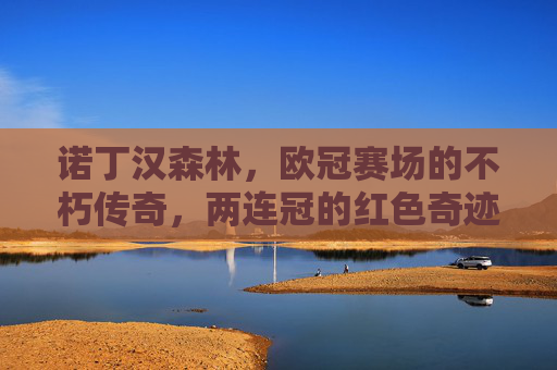诺丁汉森林,欧冠赛场的不朽传奇,两连冠的红色奇迹,诺丁汉森林,欧冠两连冠的红色不朽传奇