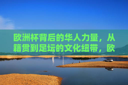 欧洲杯背后的华人力量,从籍贯到足坛的文化纽带,欧洲杯足坛的华人力量,籍贯编织的文化纽带