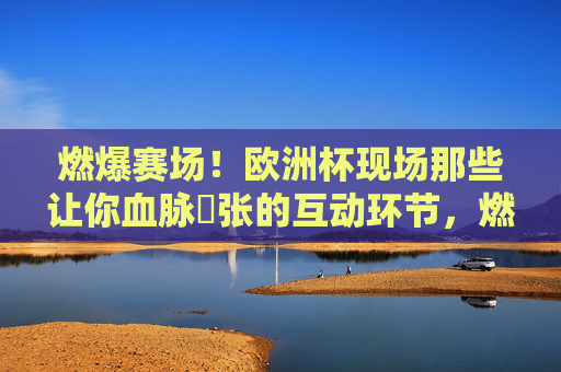 燃爆赛场!欧洲杯现场那些让你血脉偁张的互动环节,燃爆!欧洲杯现场互动血脉偁张瞬间