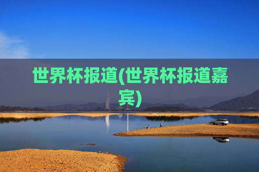 世界杯报道(世界杯报道嘉宾)