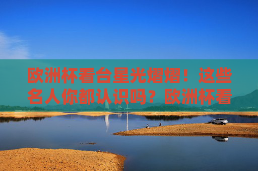 欧洲杯看台星光熠熠!这些名人你都认识吗?欧洲杯看台星光熠熠,这些名人你都认识吗?