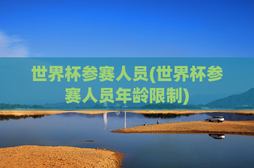世界杯参赛人员(世界杯参赛人员年龄限制)