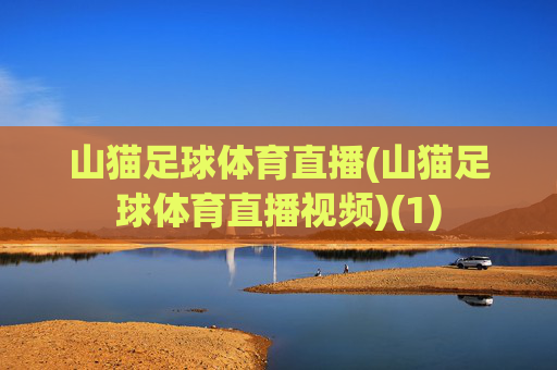 山猫足球体育直播(山猫足球体育直播视频)(1)