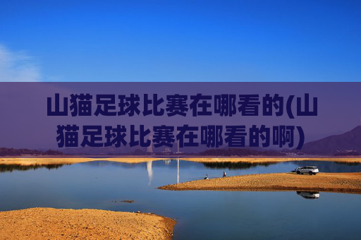 山猫足球比赛在哪看的(山猫足球比赛在哪看的啊)