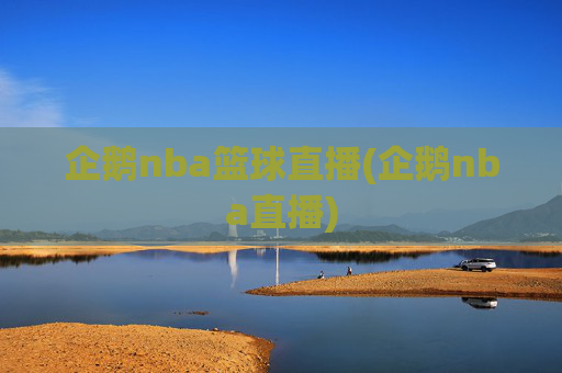 企鹅nba篮球直播(企鹅nba直播)