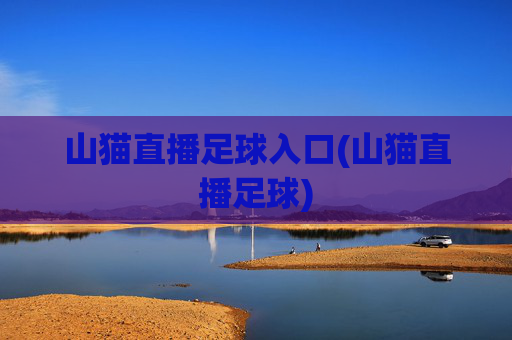 山猫直播足球入口(山猫直播足球)