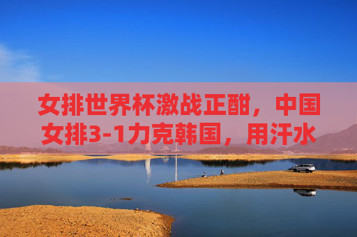 女排世界杯激战正酣，中国女排3-1力克韩国，用汗水书写亚洲荣光，女排世界杯，中国女排3-1力克韩国 汗水书写亚洲荣光