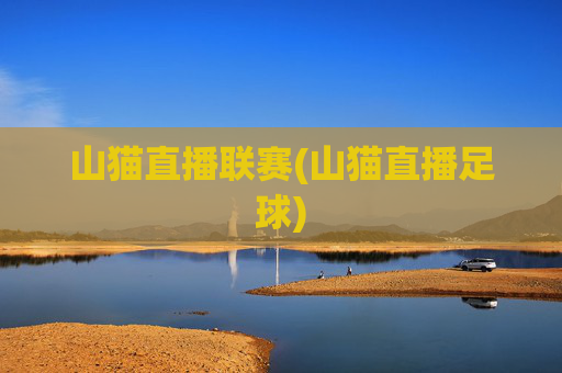 山猫直播联赛(山猫直播足球)
