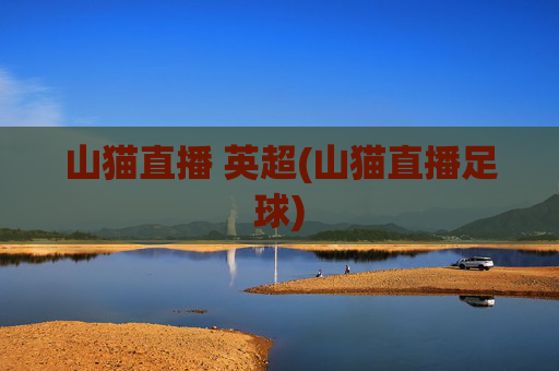 山猫直播 英超(山猫直播足球)
