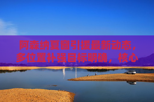 阿森纳夏窗引援最新动态,多位置补强目标明确,核心引援或将加速,阿森纳夏窗引援,多位置补强明确,核心引援将加速