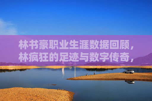林书豪职业生涯数据回顾，林疯狂的足迹与数字传奇，林书豪，林疯狂的足迹与数字传奇