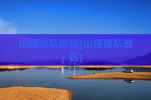 山猫球队图标(山猫球队改名)