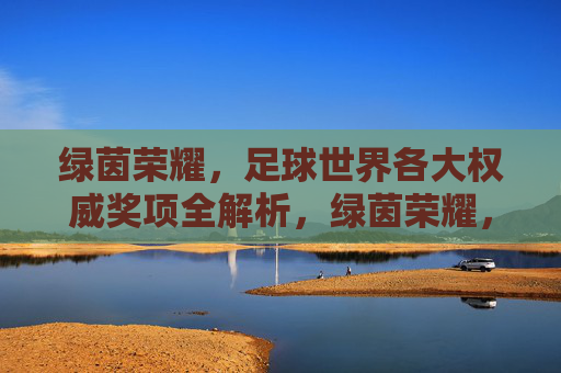 绿茵荣耀,足球世界各大权威奖项全解析,绿茵荣耀,足球世界权威奖项全解析