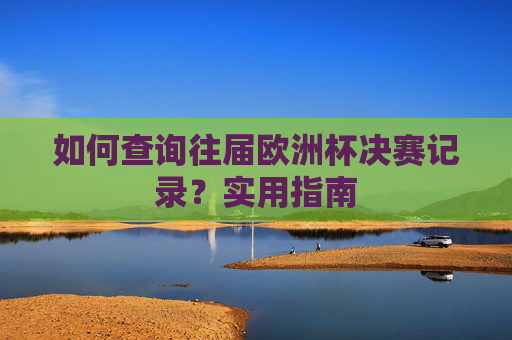 如何查询往届欧洲杯决赛记录?实用指南