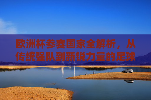 欧洲杯参赛国家全解析，从传统强队到新锐力量的足球盛宴，欧洲杯参赛国家全解析，传统强队与新锐力量的足球盛宴