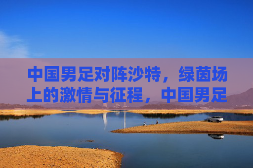 中国男足对阵沙特，绿茵场上的激情与征程，中国男足对阵沙特，绿茵场激情征程