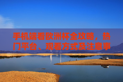 手机端看欧洲杯全攻略，热门平台、观看方式及注意事项，手机端观赛欧洲杯全攻略，热门平台、方式及注意事项