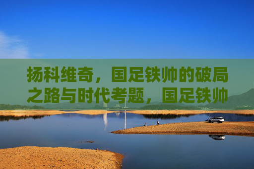 扬科维奇，国足铁帅的破局之路与时代考题，国足铁帅扬科维奇，破局之路与时代考题