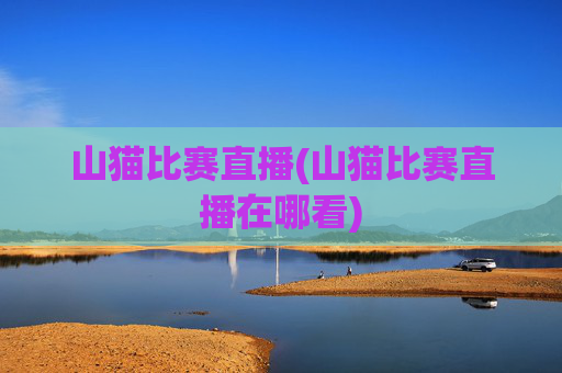 山猫比赛直播(山猫比赛直播在哪看)