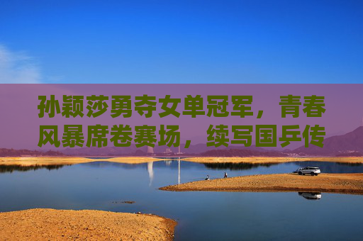 孙颖莎勇夺女单冠军，青春风暴席卷赛场，续写国乒传奇，孙颖莎青春风暴勇夺女单冠军 续写国乒传奇