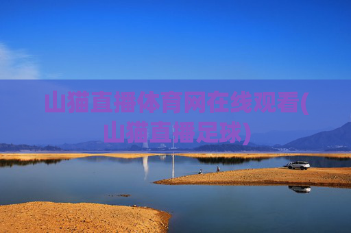 山猫直播体育网在线观看(山猫直播足球)
