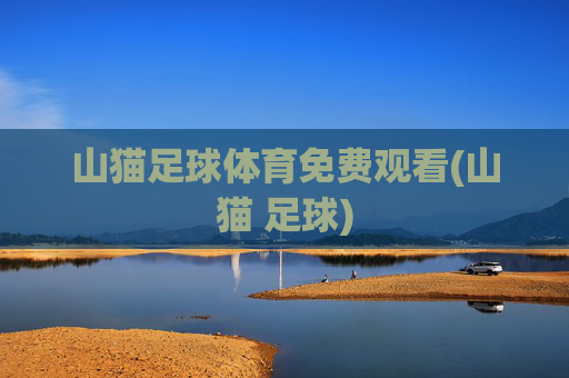 山猫足球体育免费观看(山猫 足球)