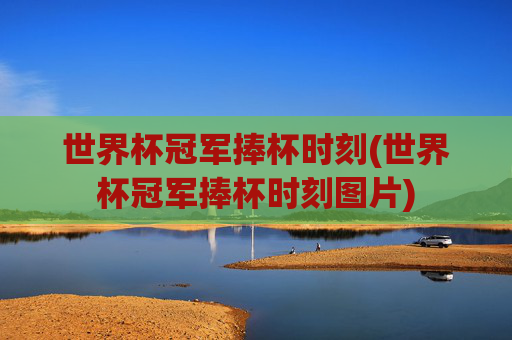 世界杯冠军捧杯时刻(世界杯冠军捧杯时刻图片)