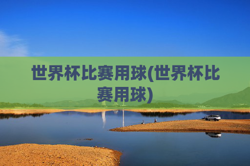 世界杯比赛用球(世界杯比赛用球)
