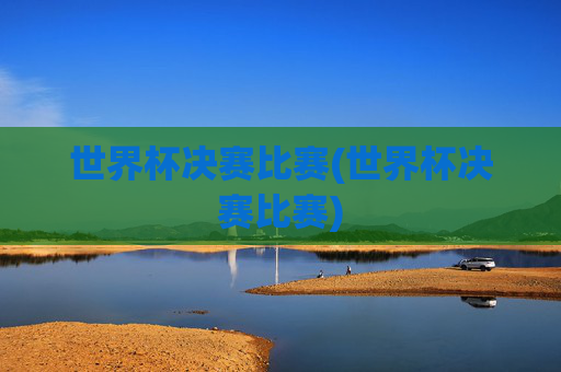 世界杯决赛比赛(世界杯决赛比赛)