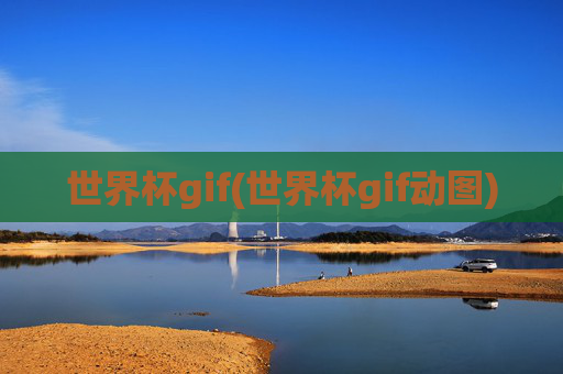 世界杯gif(世界杯gif动图)