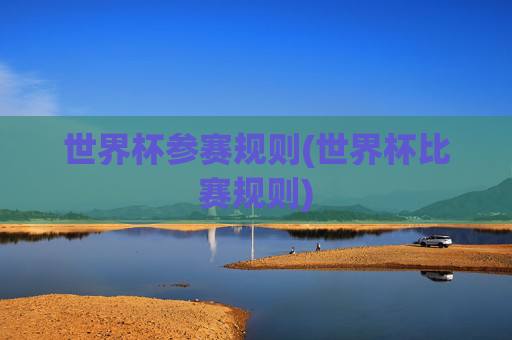 世界杯参赛规则(世界杯比赛规则)