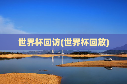世界杯回访(世界杯回放)