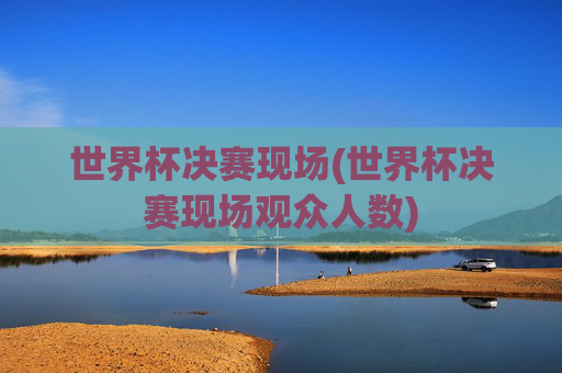 世界杯决赛现场(世界杯决赛现场观众人数)