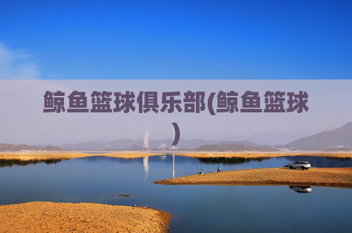 鲸鱼篮球俱乐部(鲸鱼篮球)