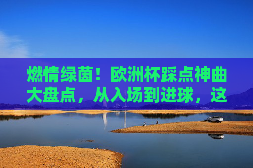 燃情绿茵！欧洲杯踩点神曲大盘点，从入场到进球，这些歌点燃全场！燃情绿茵！欧洲杯踩点神曲点燃全场，从入场到进球