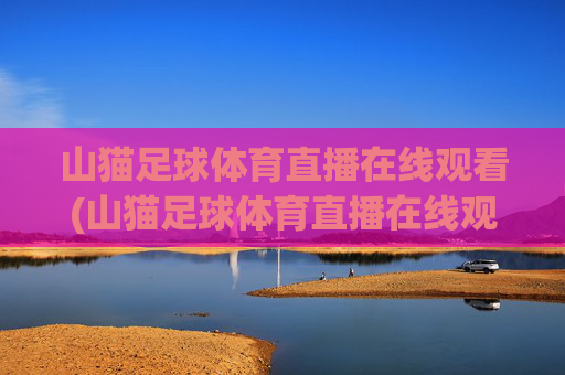 山猫足球体育直播在线观看(山猫足球体育直播在线观看高清)