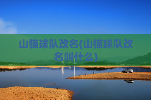 山猫球队改名(山猫球队改名叫什么)