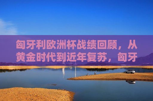匈牙利欧洲杯战绩回顾，从黄金时代到近年复苏，匈牙利欧洲杯战绩，从黄金时代到近年复苏