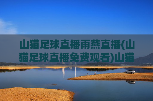 山猫足球直播雨燕直播(山猫足球直播免费观看)山猫足球直播免费观看（雨燕直播）