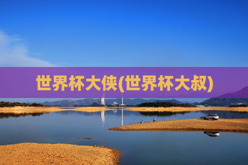世界杯大侠(世界杯大叔)