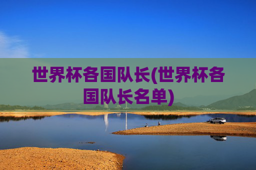 世界杯各国队长(世界杯各国队长名单)