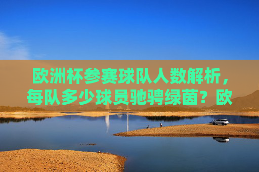 欧洲杯参赛球队人数解析,每队多少球员驰骋绿茵?欧洲杯每队球员人数解析